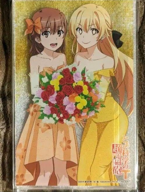 Amazon.co.jp: アクリルプレート 御坂美琴 食蜂操祈 アクリル